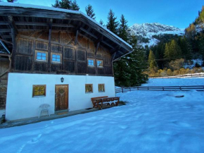 Ferienhaus Falbeson